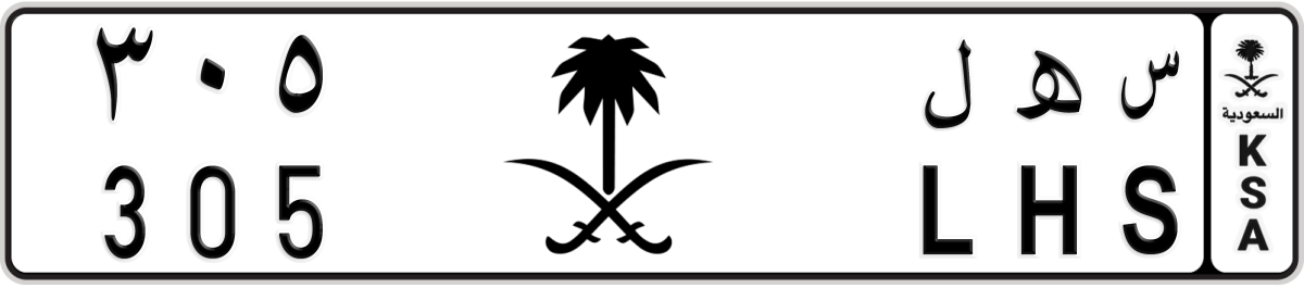 black logo License Plate Number 305 Code LHS