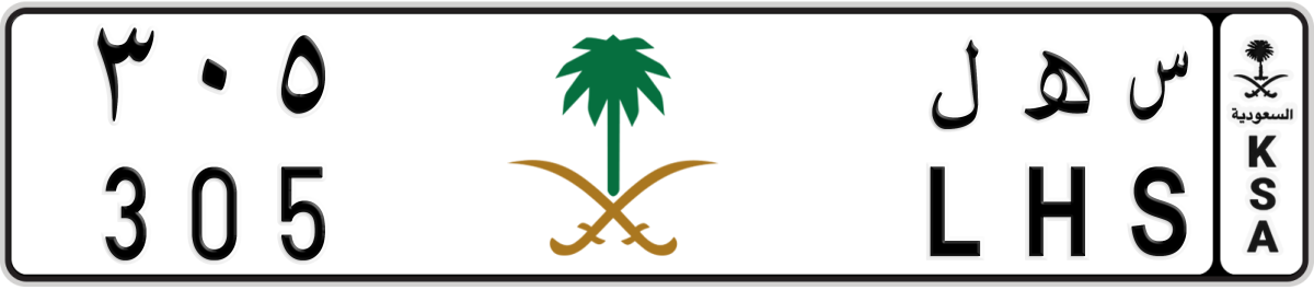 colored logo License Plate Number 305 Code LHS