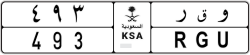 normal - code - RGU - number -493