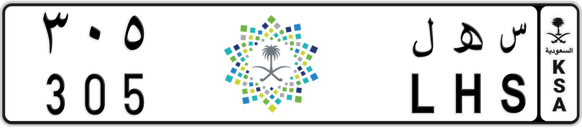 vision 2030 License Plate Number 305 Code LHS